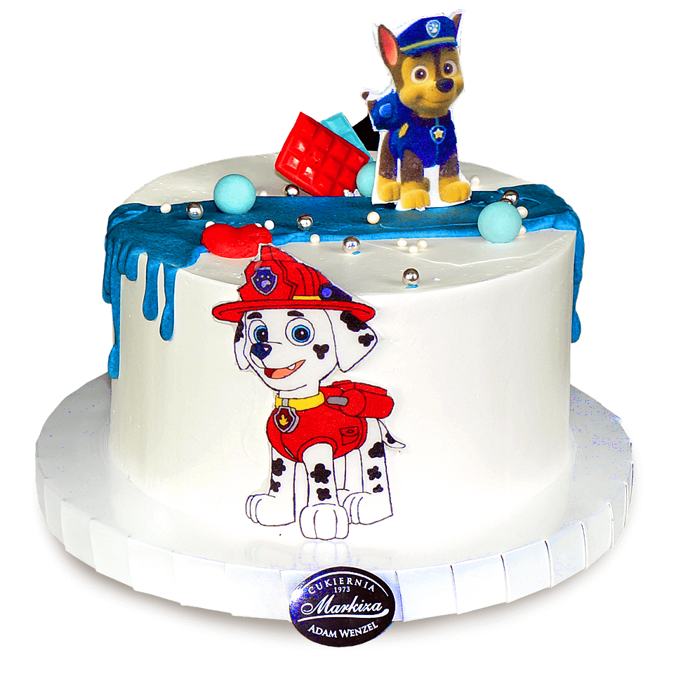 cukiernia-markiza-torty-dla-dzieci-11