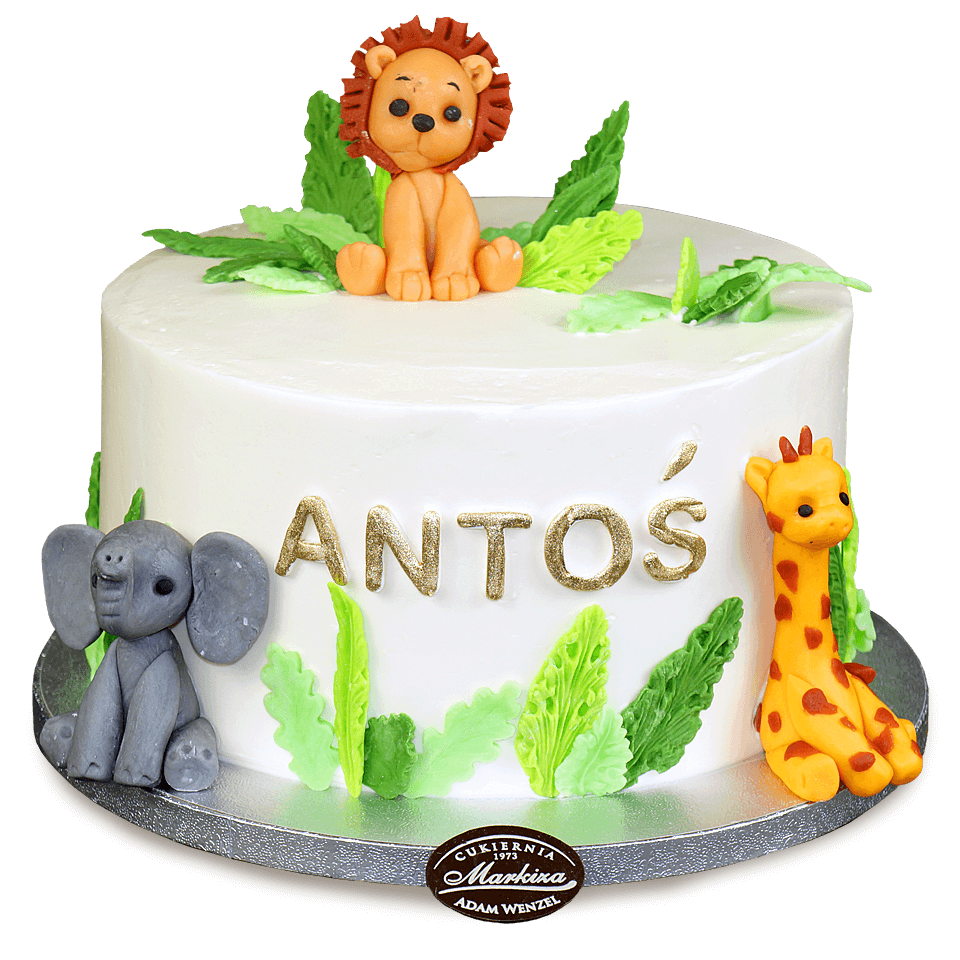 cukiernia-markiza-torty-dla-dzieci-34