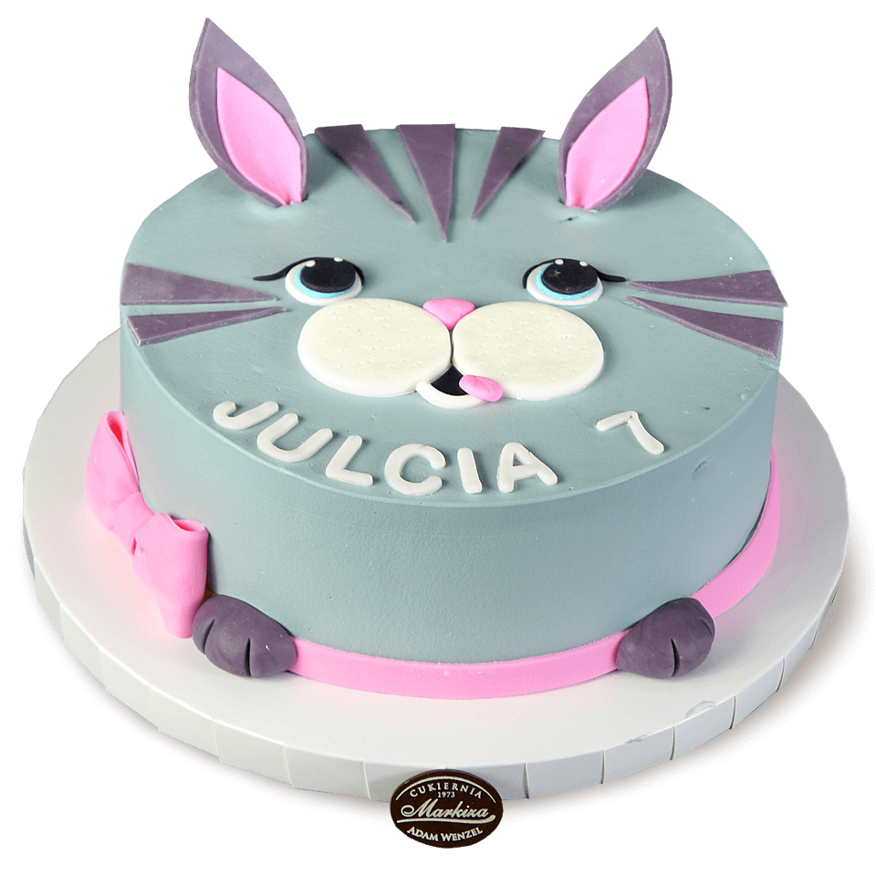 cukiernia-markiza-torty-dla-dzieci-42