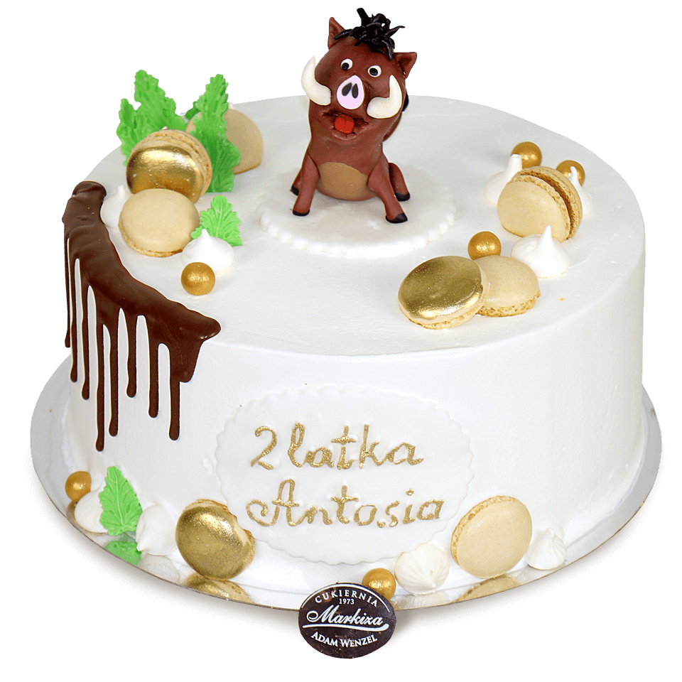 cukiernia-markiza-torty-dla-dzieci-6