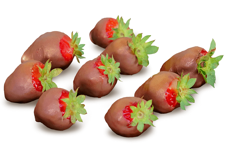 cukiernia-markiza-ciasteczka-35